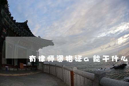 有律师资格证a能干什么 有律师资格证a能干什么
