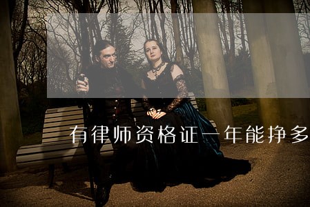 有律师资格证一年能挣多少 有律师资格证一年能挣多少