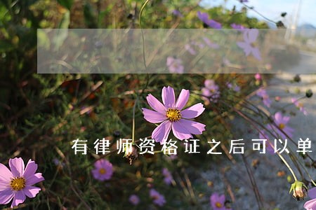 有律师资格证之后可以单干 有律师资格证之后可以单干