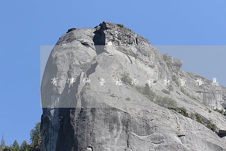 有律师资格证就能查信息吗 有律师资格证就能查信息吗
