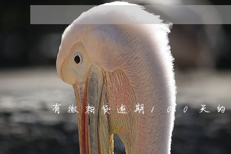 有微粒贷逾期100天的吗