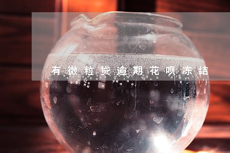 有微粒贷逾期花呗冻结 有微粒贷逾期花呗冻结