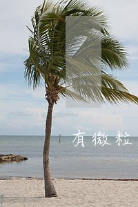 有微粒逾期不还吗 有微粒逾期不还吗