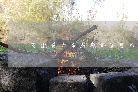 有微贷产品逾期哪里可以看