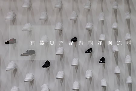 有微贷产品逾期花呗冻结 有微贷产品逾期花呗冻结