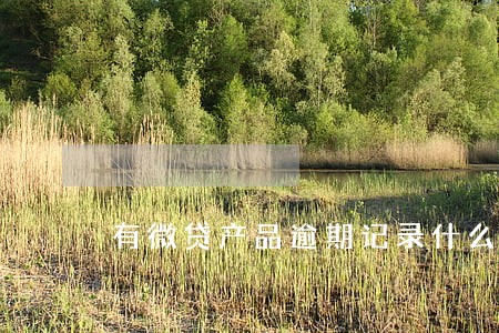 有微贷产品逾期记录什么意思