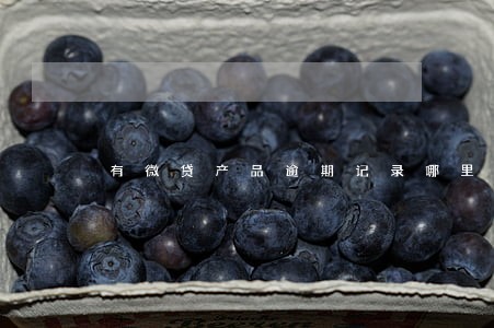 有微贷产品逾期记录哪里查 有微贷产品逾期记录哪里查