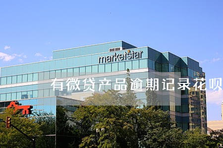有微贷产品逾期记录花呗暂不可用 有微贷产品逾期记录花呗暂不可用