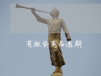 有微贷商品逾期 有微贷商品逾期