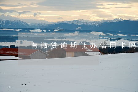 有微贷逾期能办信用卡吗