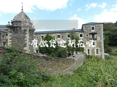 有微贷逾期花呗 有微贷逾期花呗