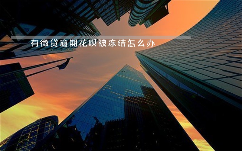 有微贷逾期花呗被冻结怎么办 有微贷逾期花呗被冻结怎么办