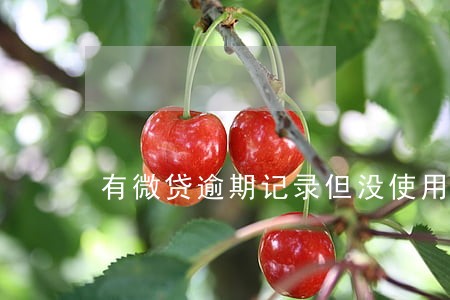 有微贷逾期记录但没使用过花呗 有微贷逾期记录但没使用过花呗