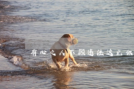 有心之人不顾违法这么做为了哪般 有心之人不顾违法这么做为了哪般