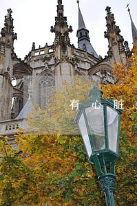 有心脏病违法可以取保候审吗 有心脏病违法可以取保候审吗