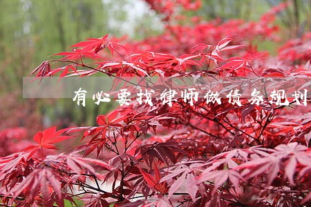 有必要找律师做债务规划吗 有必要找律师做债务规划吗