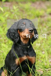 有快贷惠花来逾期会怎样 有快贷惠花来逾期会怎样