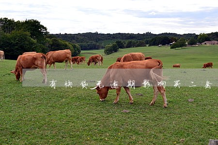 有快贷无逾期影响买二套房吗 有快贷无逾期影响买二套房吗