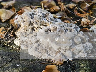 有恶意逾期是不是不能办信用卡