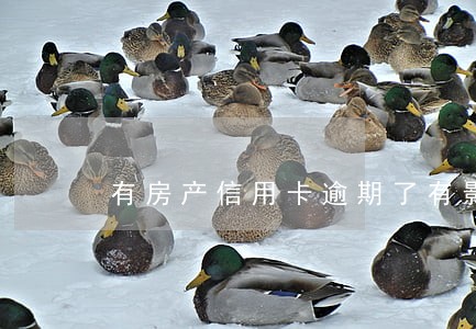 有房产信用卡逾期了有影响吗