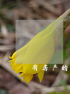 有房产的人信用卡逾期 有房产的人信用卡逾期