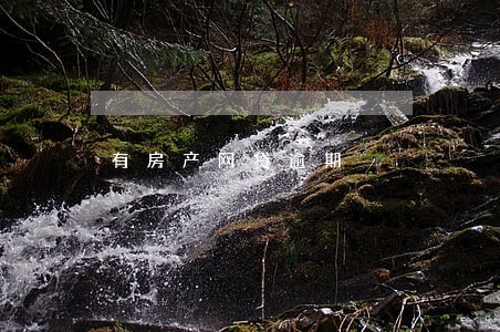 有房产网贷逾期