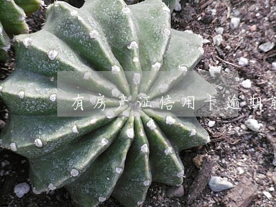 有房产证信用卡逾期能贷款 有房产证信用卡逾期能贷款