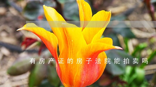有房产证的房子法院能拍卖吗