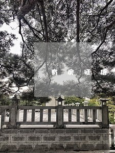 有房征信花了没逾期的口子 有房征信花了没逾期的口子
