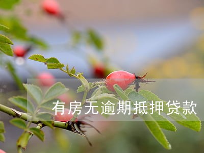 有房无逾期抵押贷款 有房无逾期抵押贷款