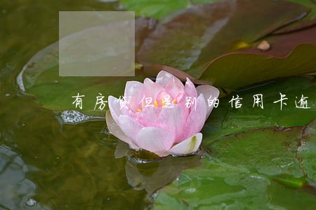 有房贷但是别的信用卡逾期 有房贷但是别的信用卡逾期