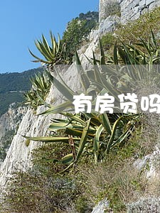 有房贷吗其它银行卡有逾期 有房贷吗其它银行卡有逾期