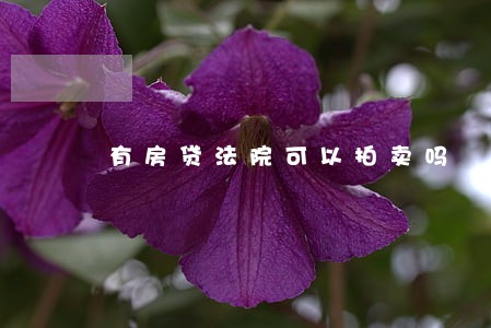 有房贷法院可以拍卖吗