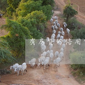 有房贷的信用贷款逾期 有房贷的信用贷款逾期