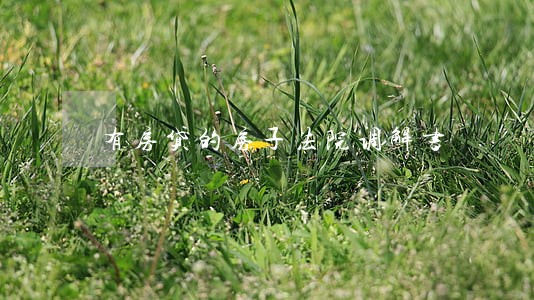 有房贷的房子法院调解书