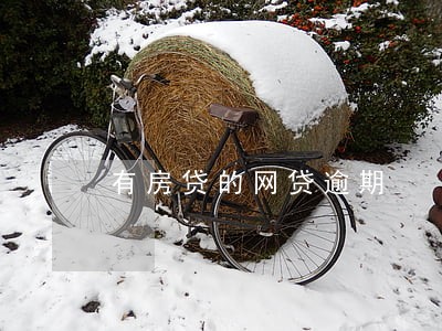 有房贷的网贷逾期 有房贷的网贷逾期
