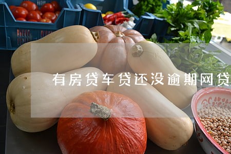 有房贷车贷还没逾期网贷逾期了 有房贷车贷还没逾期网贷逾期了