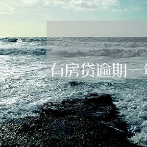 有房贷逾期一年的吗 有房贷逾期一年的吗