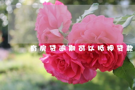 有房贷逾期可以抵押贷款吗 有房贷逾期可以抵押贷款吗