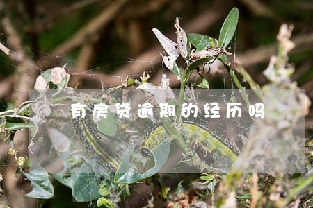 有房贷逾期的经历吗 有房贷逾期的经历吗