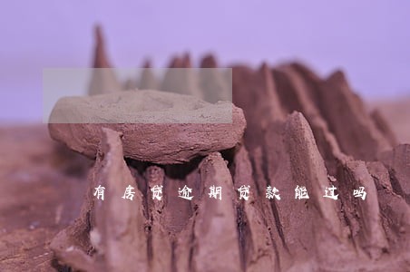 有房贷逾期贷款能过吗 有房贷逾期贷款能过吗