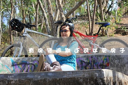 有房贷逾期还可以买房子吗 有房贷逾期还可以买房子吗