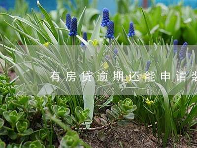 有房贷逾期还能申请装修贷吗 有房贷逾期还能申请装修贷吗