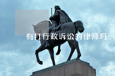 有打行政诉讼的律师吗