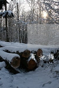 有把握的经济法居然没过 有把握的经济法居然没过