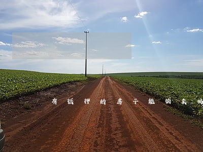 有抵押的房子能拍卖吗 有抵押的房子能拍卖吗