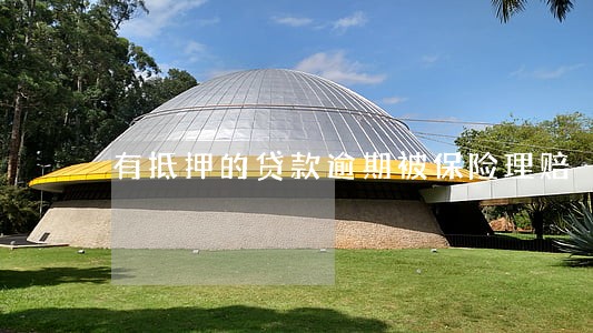 有抵押的贷款逾期被保险理赔 有抵押的贷款逾期被保险理赔