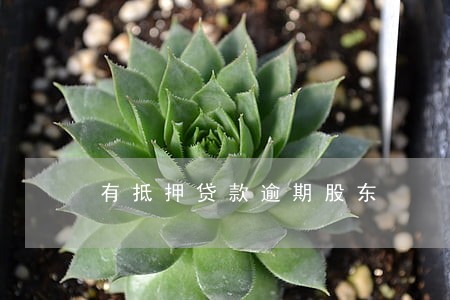 有抵押贷款逾期股东 有抵押贷款逾期股东