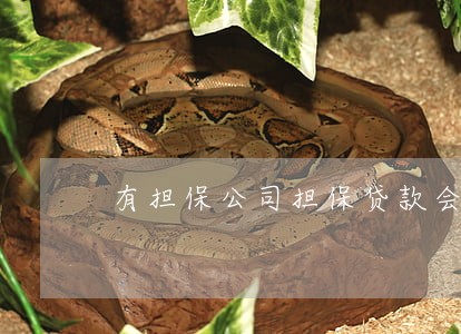 有担保公司担保贷款会逾期吗 有担保公司担保贷款会逾期吗