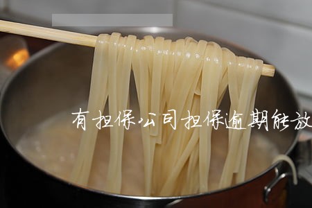 有担保公司担保逾期能放款吗 有担保公司担保逾期能放款吗